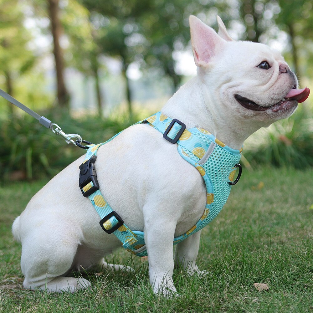 Breathable Harness Vest