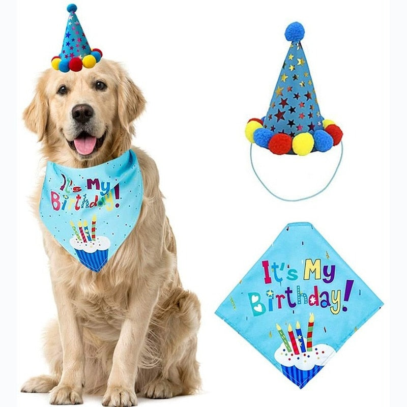 Pet Birthday Party Kit
