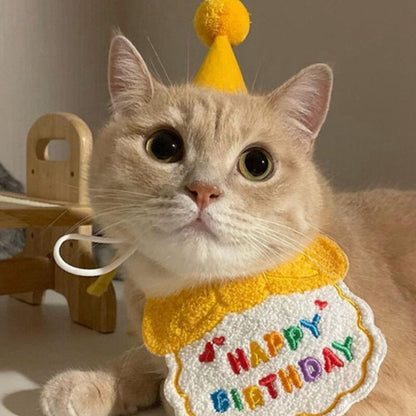 Cat Birthday Clothing Set