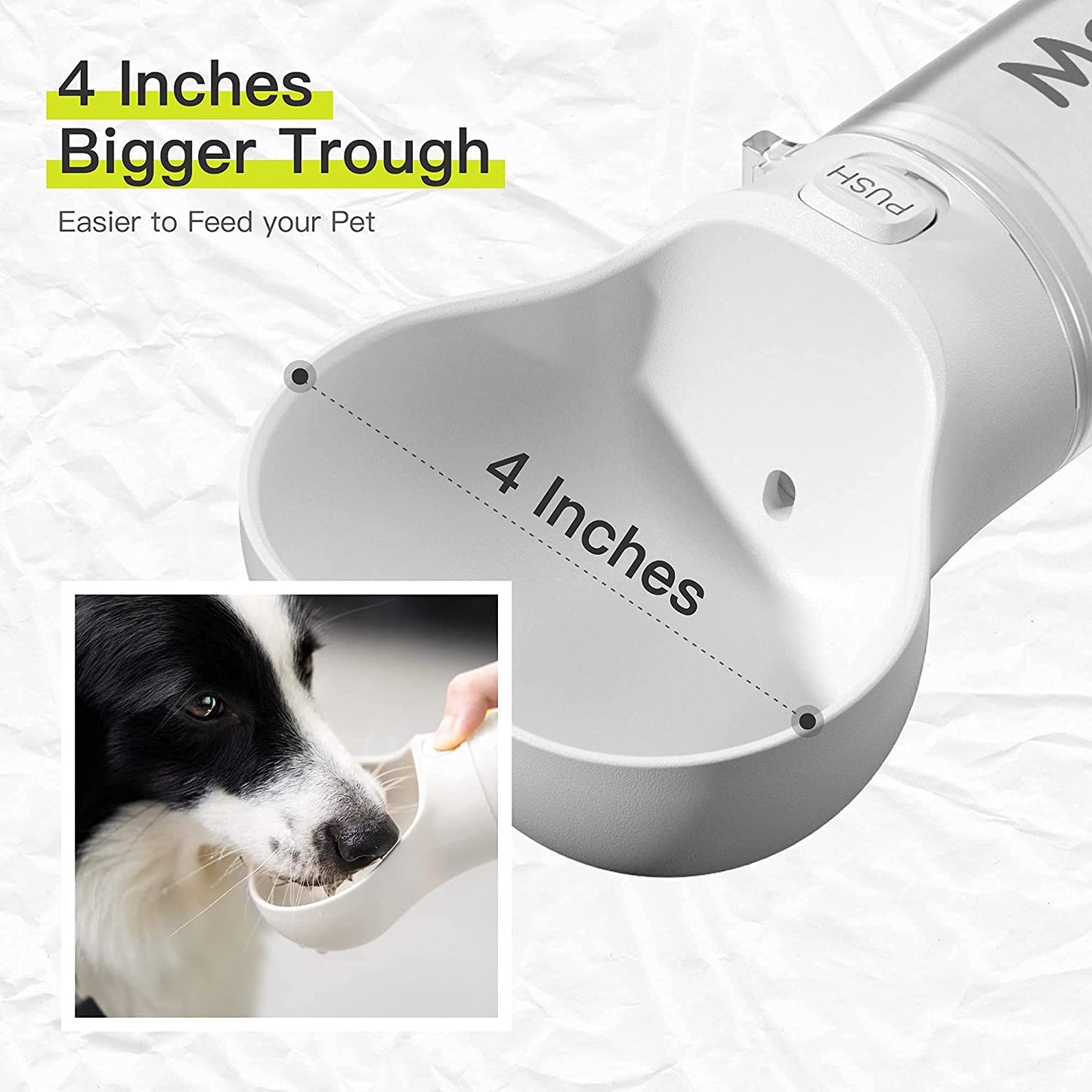 Portable Pet Water and Feeder Bowl