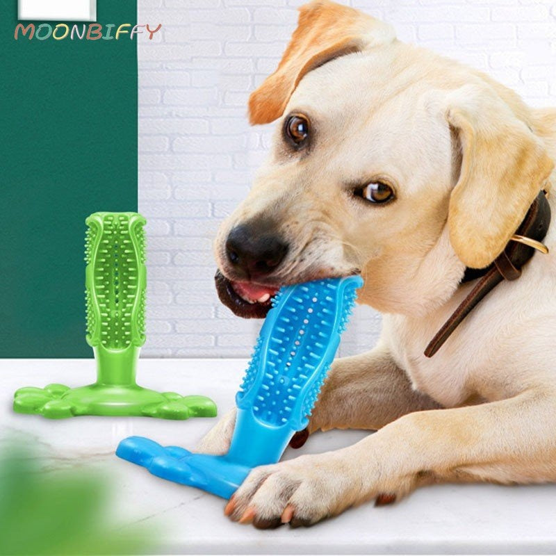 Toothbrush Dog Chew Toy
